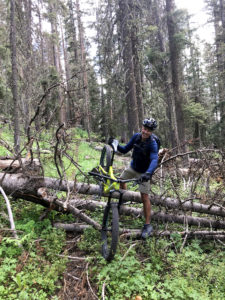Mountain Bike Rider clearing logs in the forest in Telluride Colorado